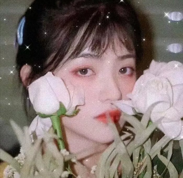 少年嘉庆